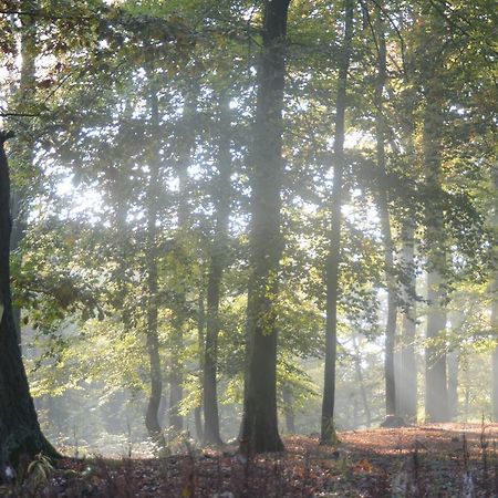 Ferienwohnung Deutschmann Dahlen Kültér fotó
