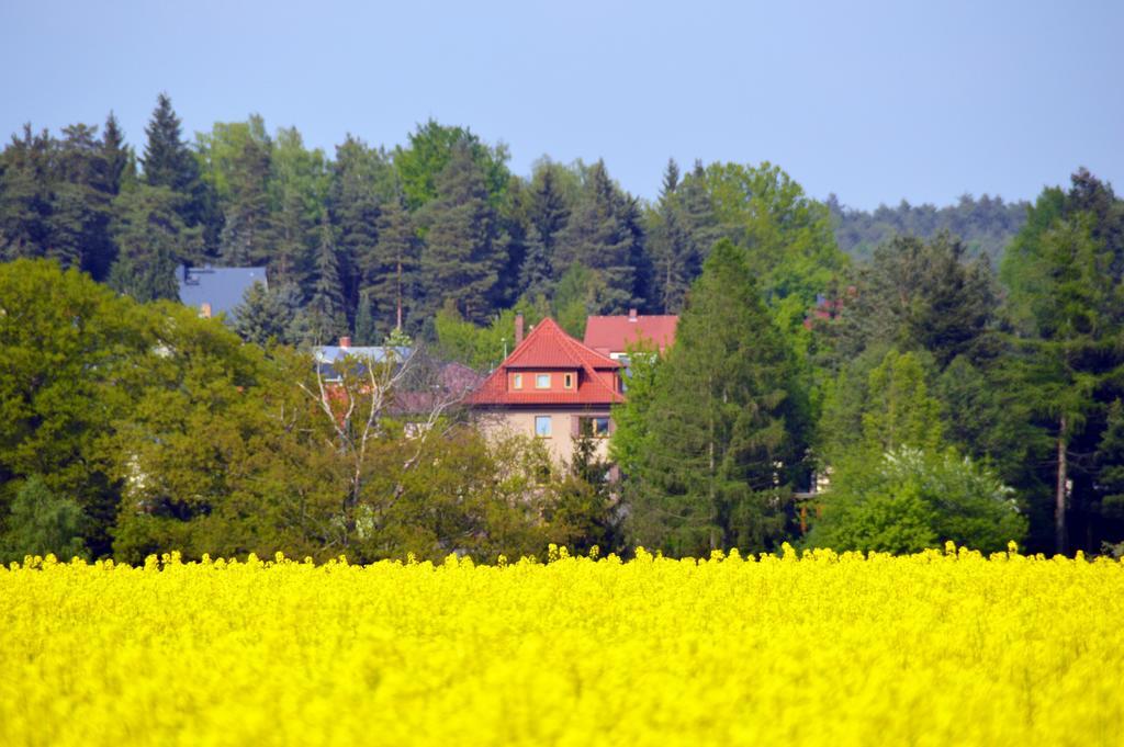 Ferienwohnung Deutschmann Dahlen Szoba fotó